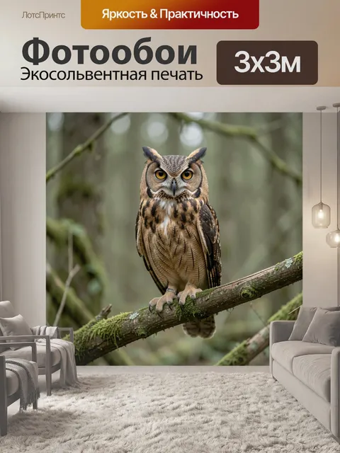 Фотообои Сова на мшистой ветке