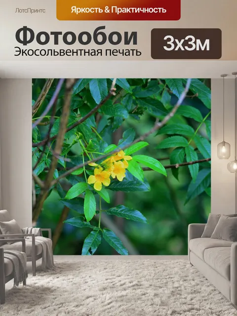 Фотообои желтые цветы на альпиниста