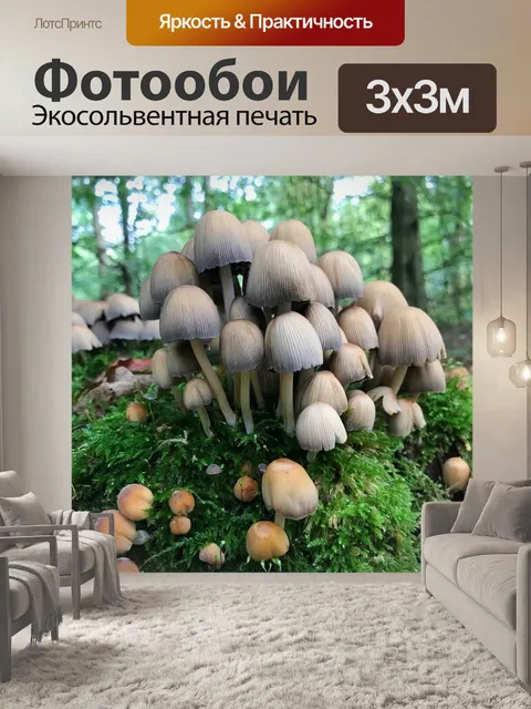 Фотообои Грибы
