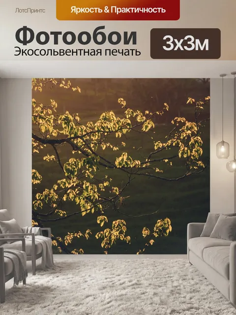 Фотообои Заход солнца