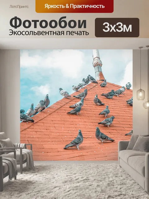 Фотообои Голуби