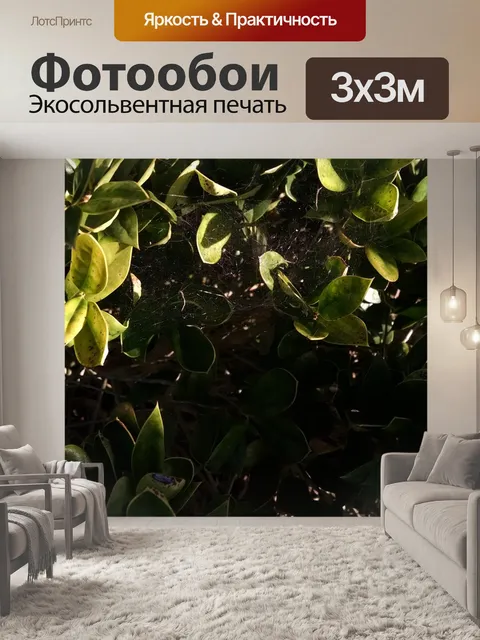 Фотообои Листья