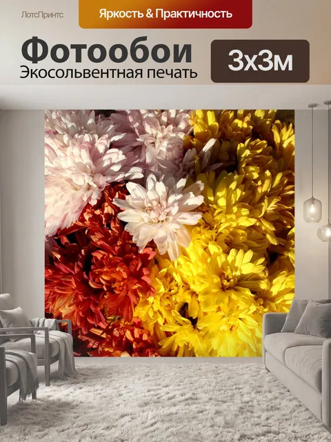 Фотообои Хризантемы