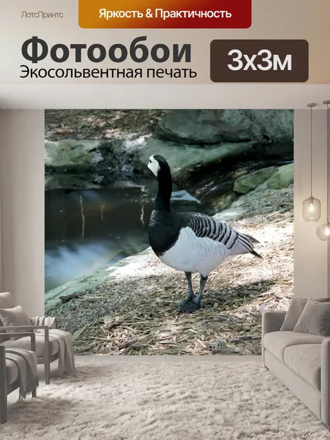 Фотообои Goose - 01