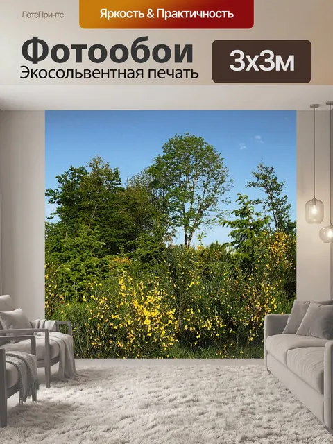 Фотообои Деревья