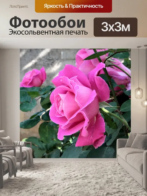 Фотообои Роуз
