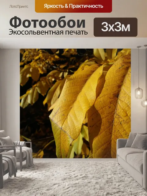 Фотообои Листья