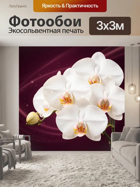 Фотообои Белые орхидеи на бордовом фоне