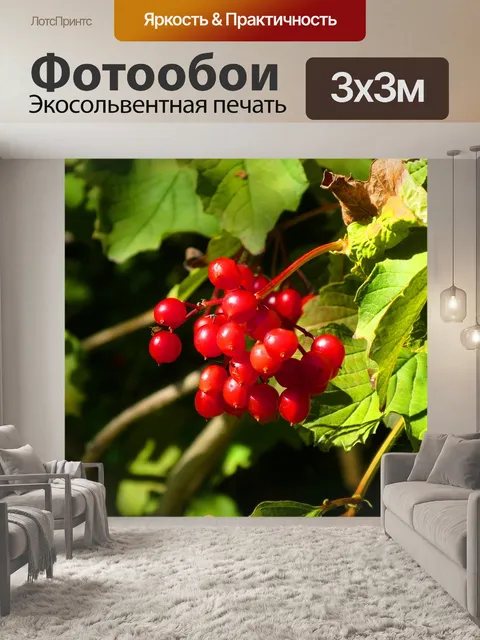 Фотообои Ягоды