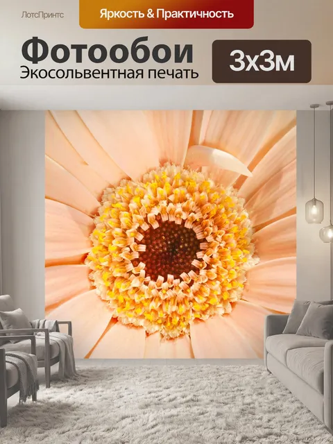 Фотообои Бледный