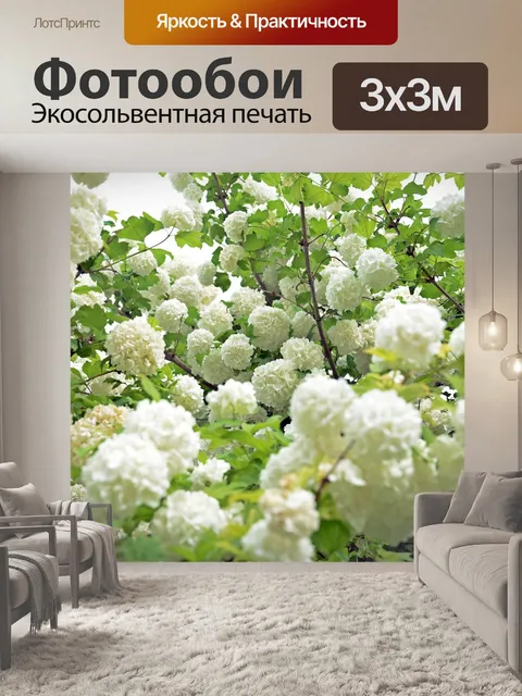 Фотообои Цветок