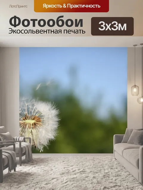 Фотообои Одуванчик