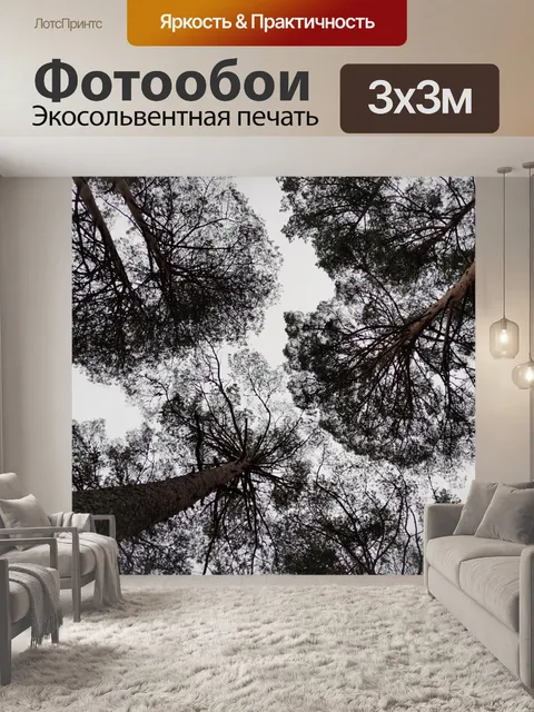 Фотообои Сосновый лес