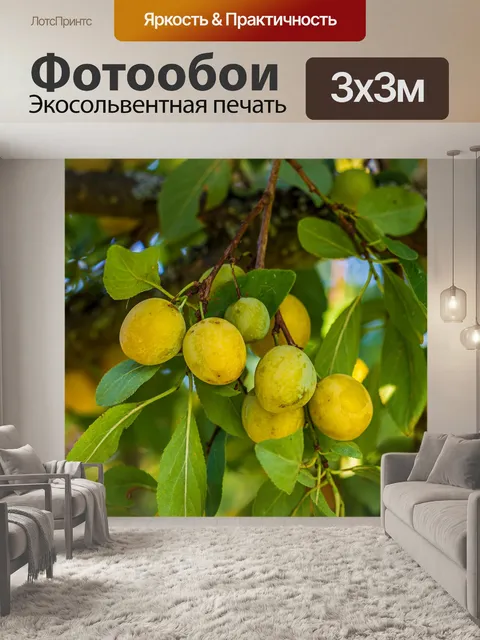 Фотообои Дерево