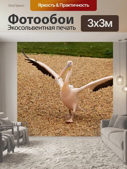 Фотообои Птица