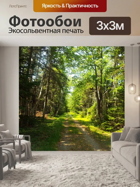 Фотообои грязная дорога