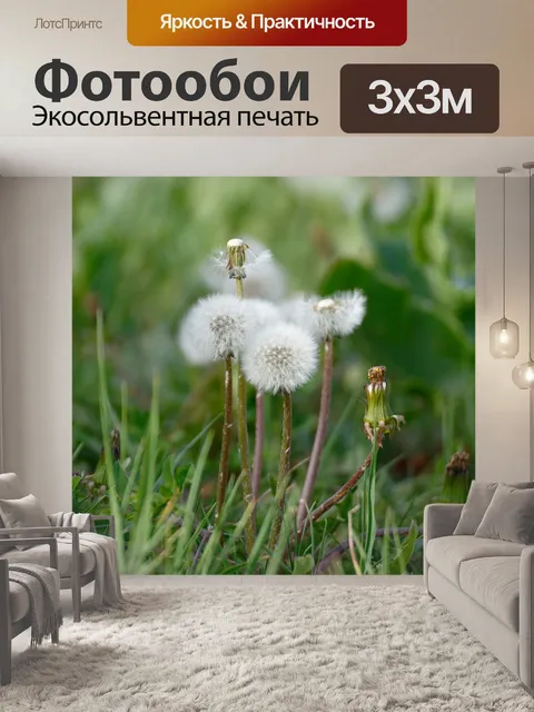 Фотообои Одуванчик