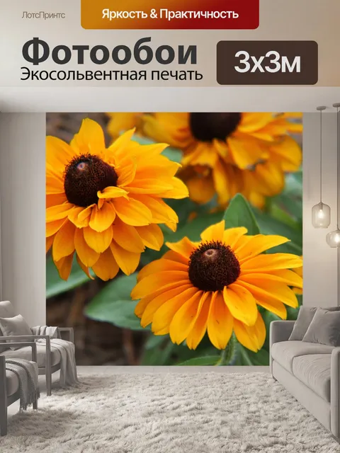 Фотообои Ромашки