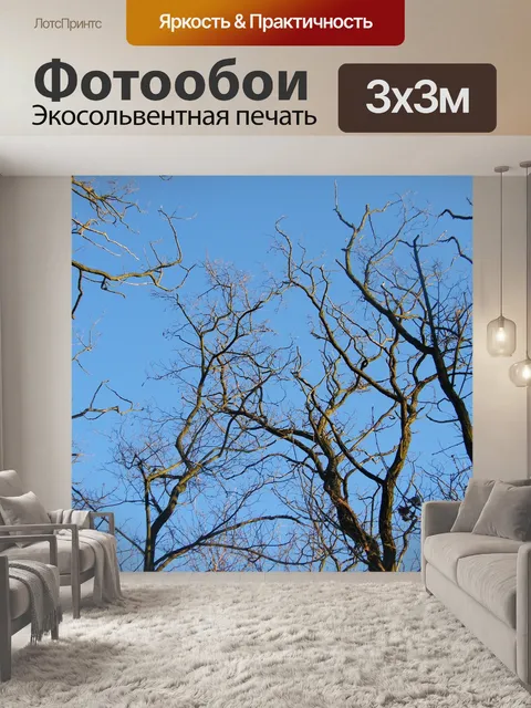 Фотообои Деревья