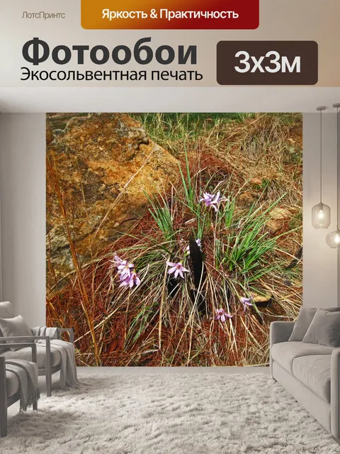 Фотообои светло-фиолетовый черный палочка лилия