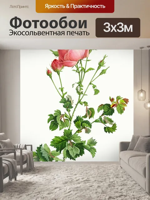Фотообои Нарисованный цветок розы