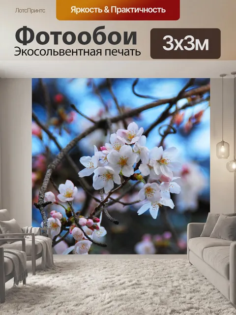 Фотообои Сакура