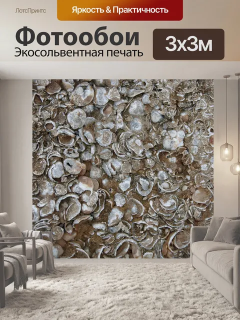 Фотообои Ископаемые раковины в скале на пляже