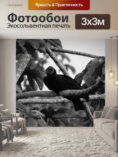 Фотообои Черное и белое