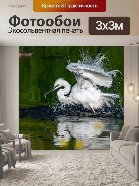 Фотообои Птицы