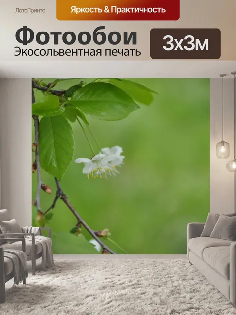 Фотообои цветы
