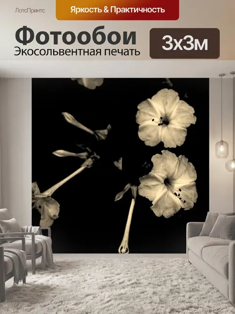 Фотообои Черно-белый