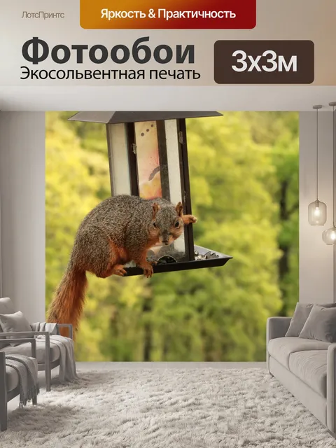 Фотообои Fox Squirrel на кормушке для птиц