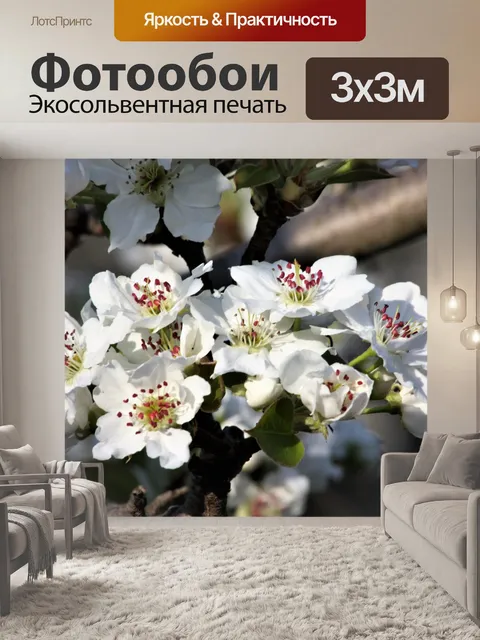 Фотообои Цветок груши Крупный план