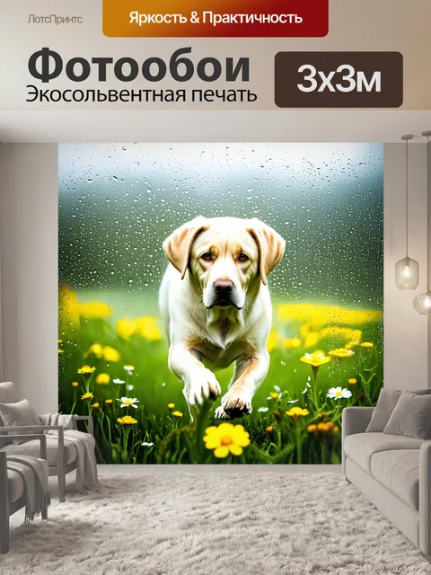 Фотообои в туманном утре лабрадор аккуратно бродит среди диких цветов, окутанных каплями росы