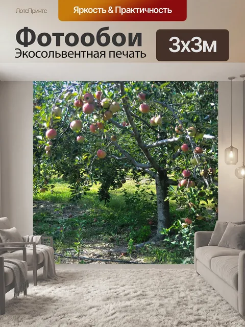 Фотообои Apple Farm деревьев