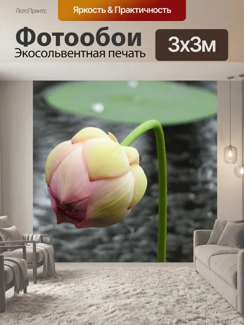 Фотообои Лотос