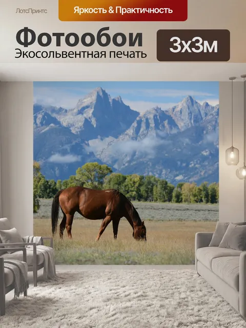 Фотообои Лошадь
