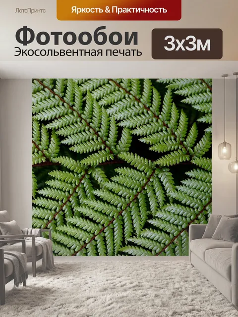 Фотообои папоротник