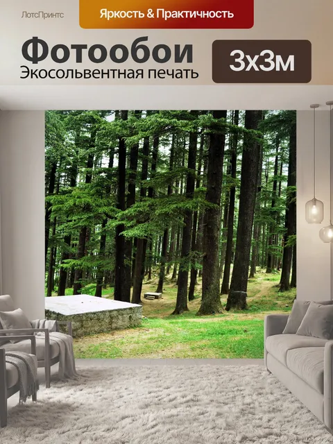 Фотообои Сосновый лес фоне 5