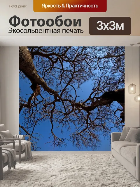 Фотообои Деревья