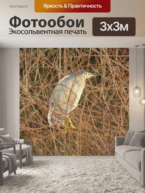 Фотообои Природа