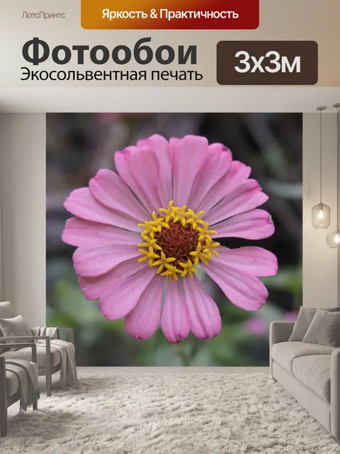 Фотообои Цветы