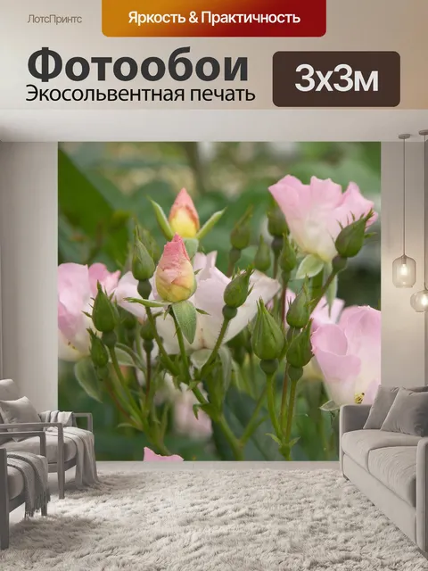Фотообои Цветы