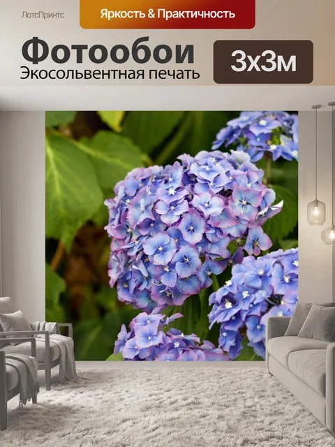 Фотообои Синие цветы гортензии
