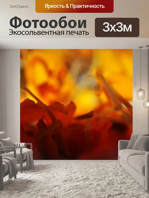 Фотообои Цветочные лепестки 2