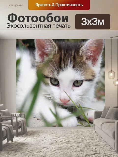 Фотообои Очаровательны
