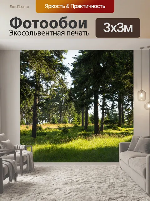 Фотообои лес