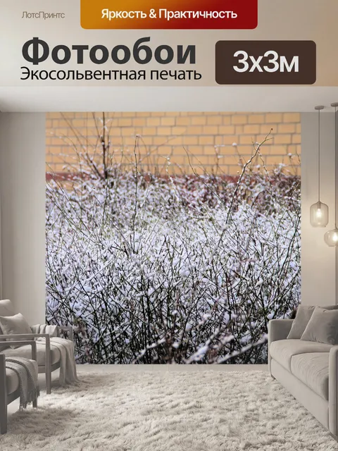 Фотообои Фон