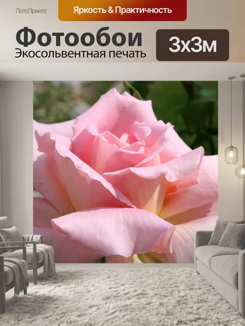 Фотообои Belle Rose Цвет светло-розовый