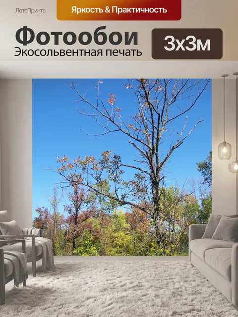Фотообои Осеннее поле